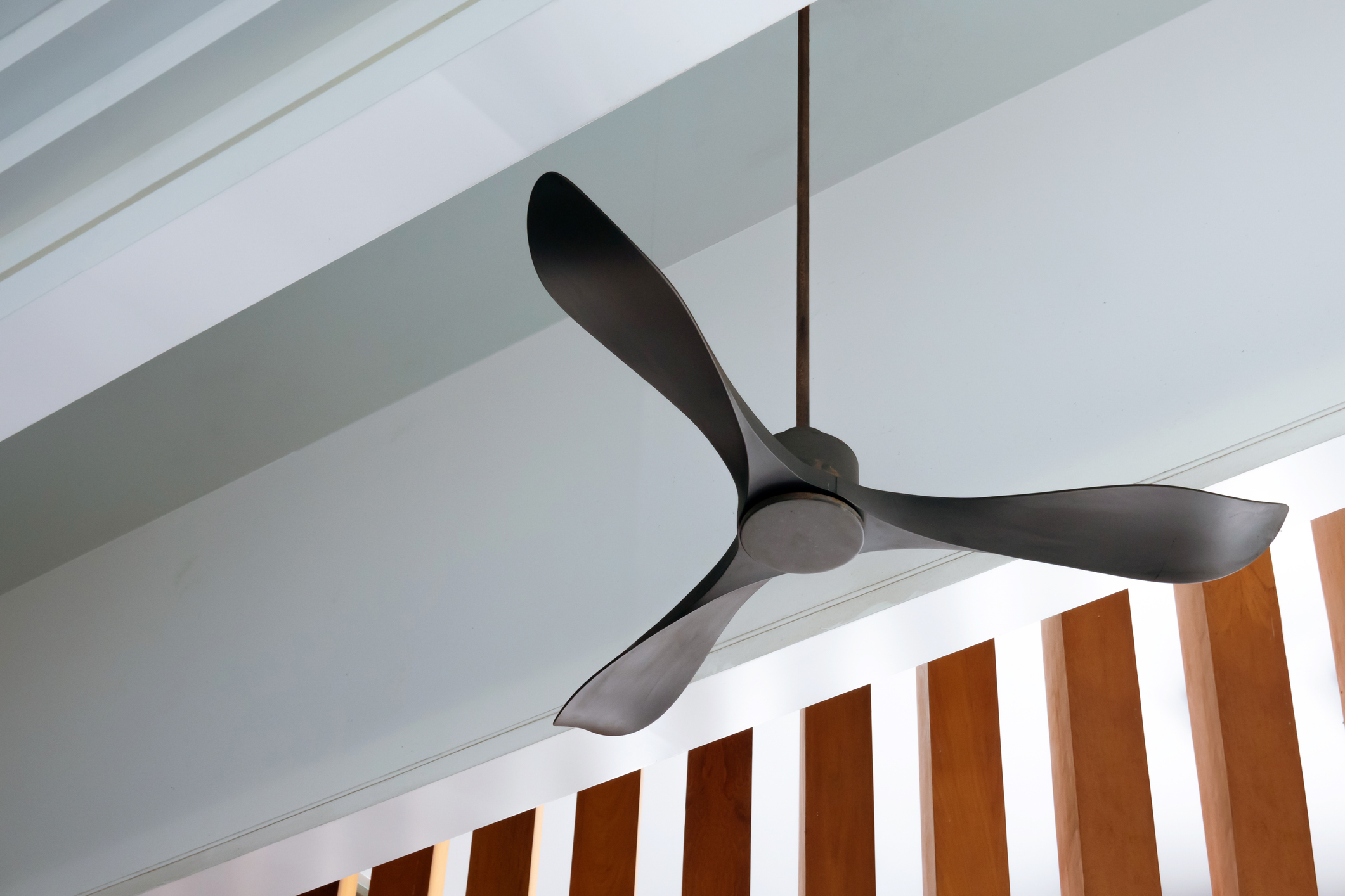 Modern three-prong black ceiling fan