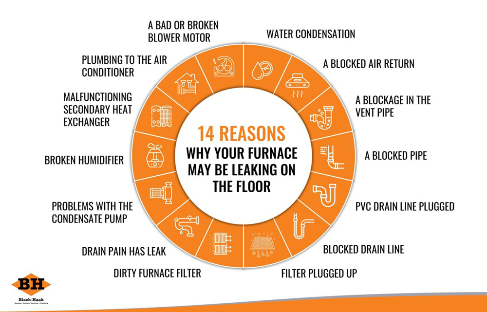 reasons furnace leaking